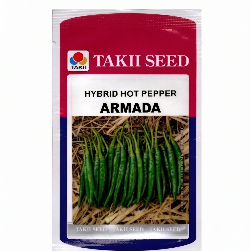 best chilli seeds commercial farming India Armada F1