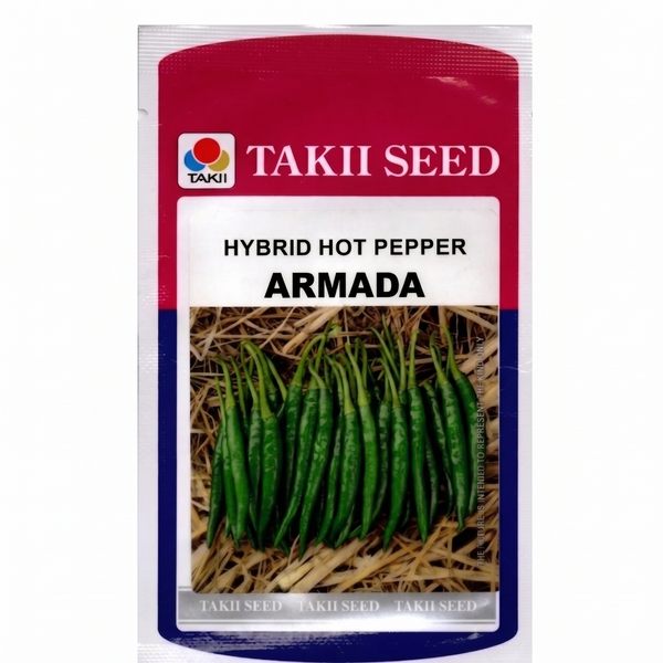 best chilli seeds commercial farming India Armada F1