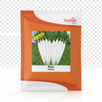Hans F1 White Radish Seeds | Home Gardening Seeds