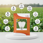 Hans F1 White Radish Seeds | Home Gardening Seeds