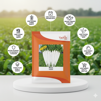 Hans F1 White Radish Seeds | Home Gardening Seeds