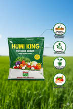 ह्यूमिकिंग