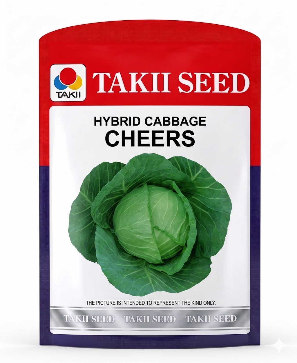 Hybrid Cabbage Cheers F1 Seeds | High Yield Compact Green Cabbage Variety