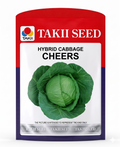 Hybrid Cabbage Cheers F1 Seeds | High Yield Compact Green Cabbage Variety