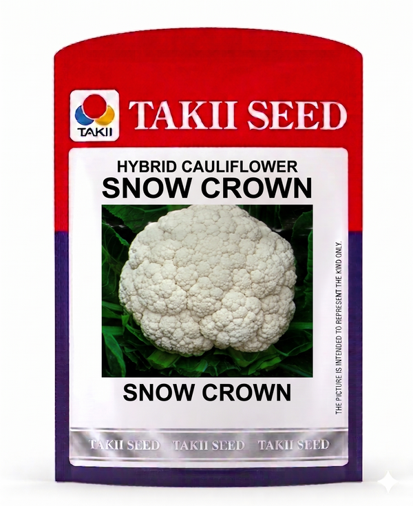 Hybrid Cauliflower Snow Crown F1 Seeds | High Yield Snow White Cauliflower Variety