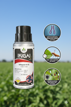 इकिगाई (टोल्फेनपाइराड 15% ईसी)