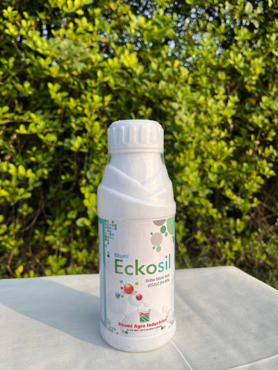 इकोसिल – पोषक तत्वों के अवशोषण के लिए ऑर्थो सिलिसिक एसिड 2%