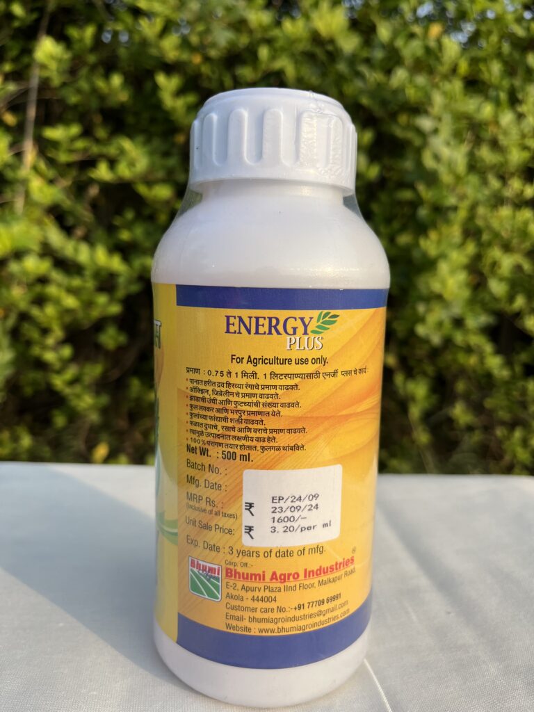 Energy Plus