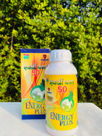 Energy Plus