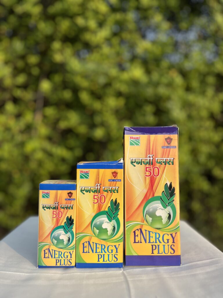 Energy Plus
