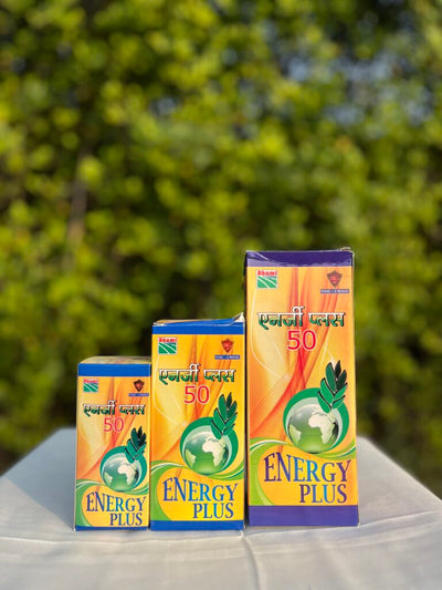 Energy Plus