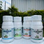 भूमि मिक्स फ्रूट्स (एनपीके 05:25:00)