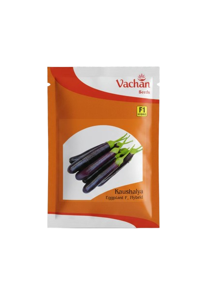 Kaushalya F1 Eggplant Hybrid | Home Gardening Seeds