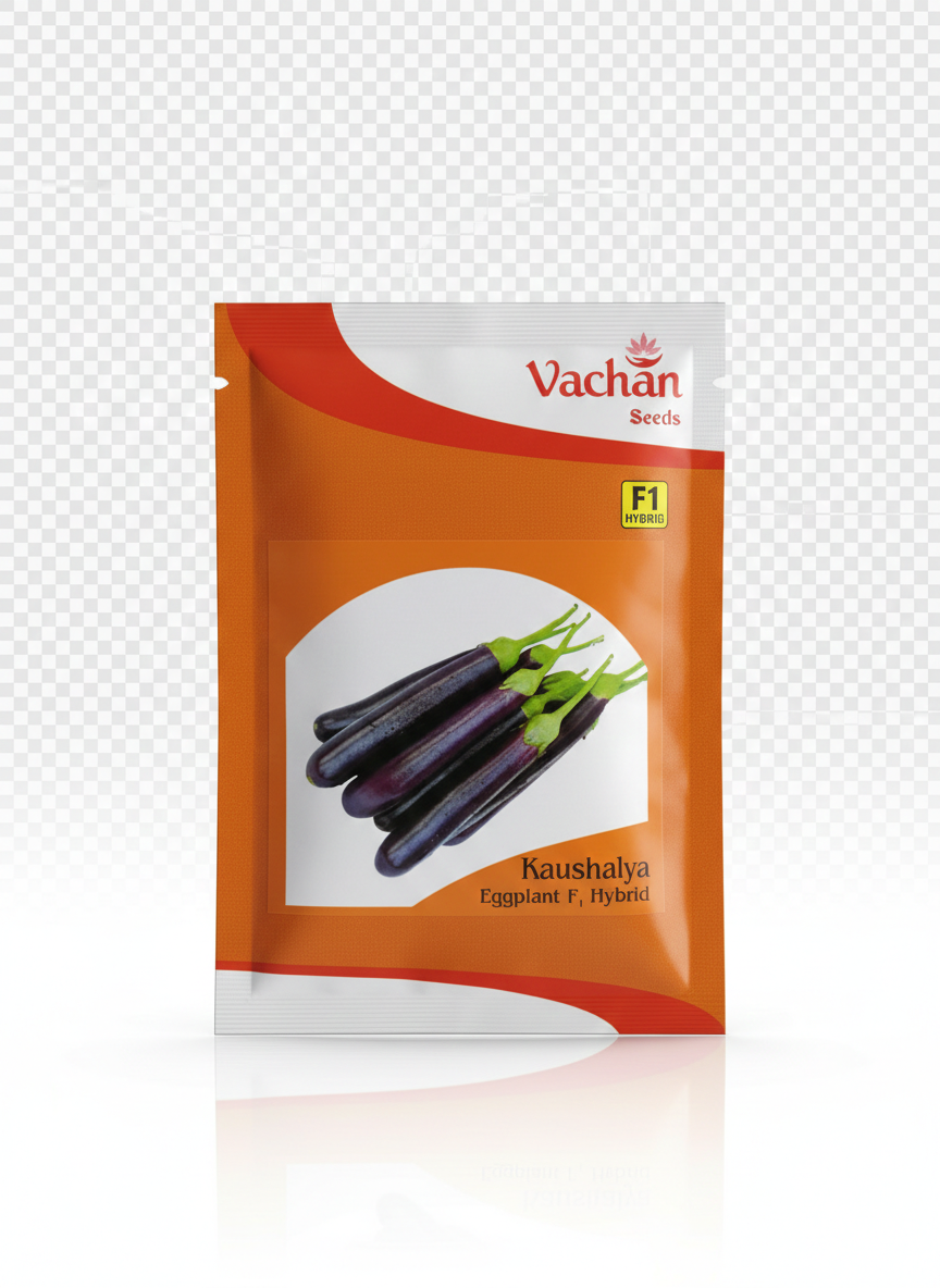 Kaushalya F1 Eggplant Hybrid | Home Gardening Seeds