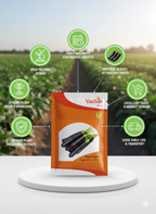 Kaushalya F1 Eggplant Hybrid | Home Gardening Seeds