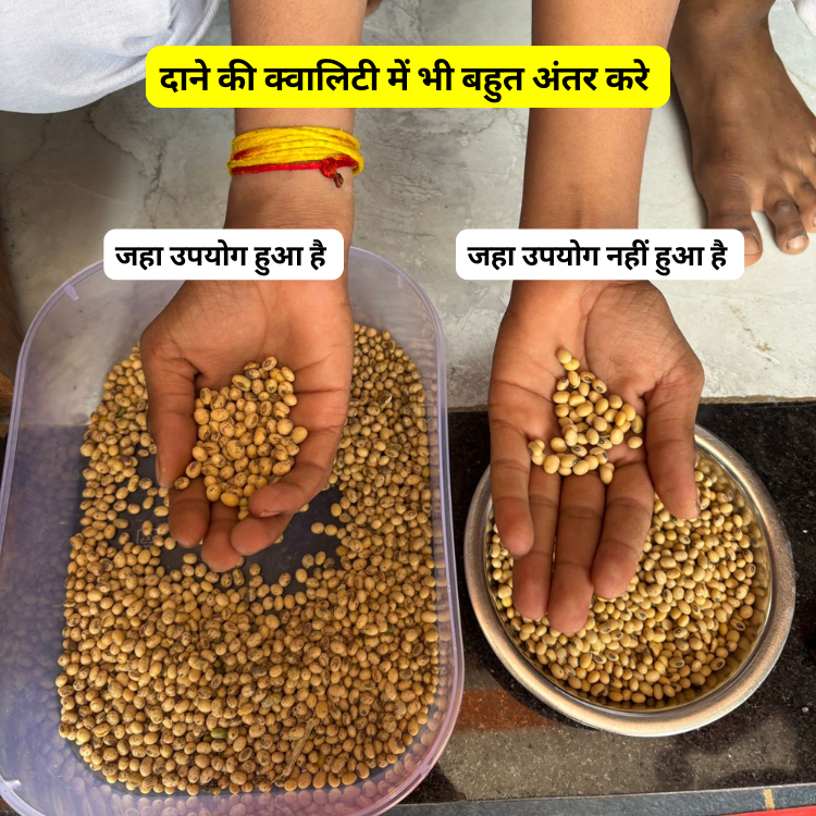 increase quality in soybean seed