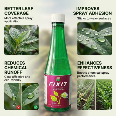 Bhumi Fixit