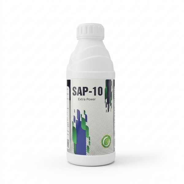 Sap – 10
