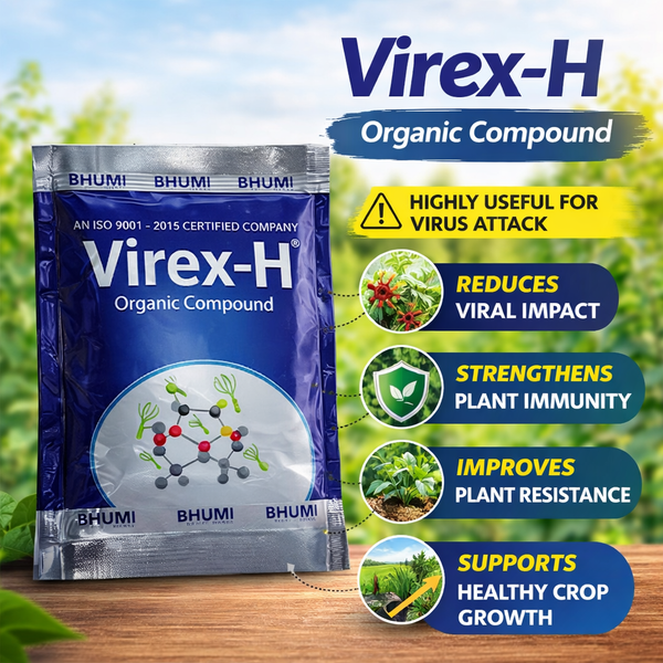 Virex H– Enhances Crop Yields and Fruit Quality