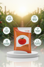 Preetam F1 Tomato Hybrid | Home Gardening Seeds