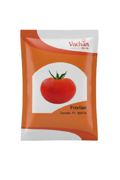 Preetam F1 Tomato Hybrid | Home Gardening Seeds