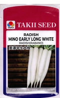 Radish Mino Early Long White Seeds | High Yield Long White Radish Variety