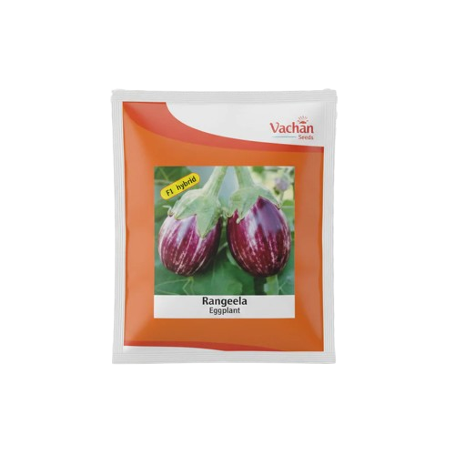 Rangeela F1 Eggplant Hybrid | Home Gardening Seeds