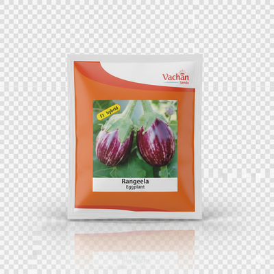 Rangeela F1 Eggplant Hybrid | Home Gardening Seeds