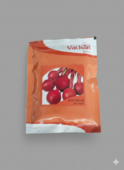 Beet Root Red Glory