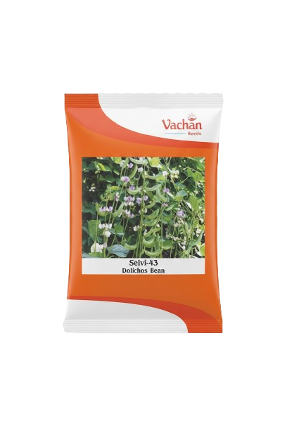 बटुक एफ1 करेला हाइब्रिड | घरेलू बागवानी के बीज