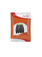 Shaurya F1 Eggplant Hybrid | Home Gardening Seeds