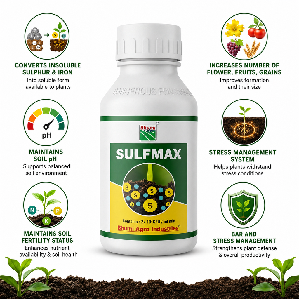 Converts insoluble sulphur & iron