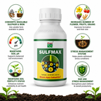 Converts insoluble sulphur & iron