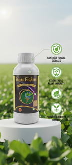 सुपर फाइटर