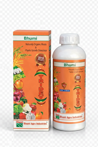 भूमि त्रिदेव