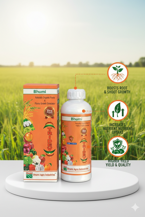 भूमि त्रिदेव