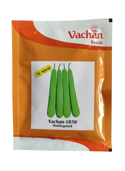वचन 1830 लौकी | घर पर बागवानी के लिए बीज