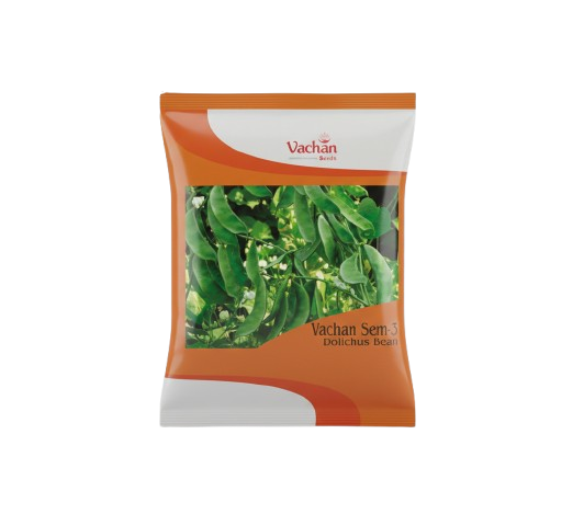 डोलिचोस बीन वाचन सेम-3 के बीज | घरेलू बागवानी के बीज