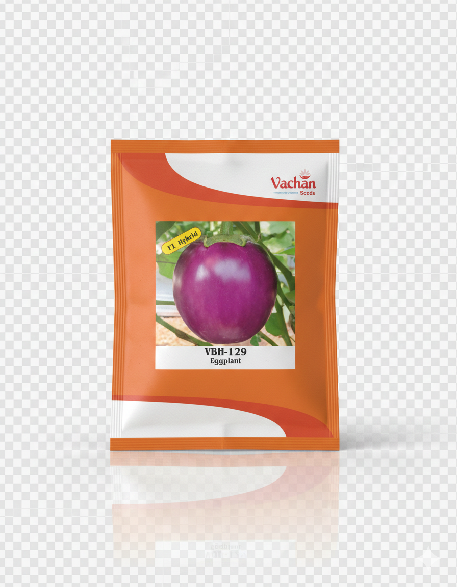 VBH-129 F1 Eggplant Hybrid | Home Gardening Seeds