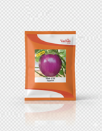 VBH-129 F1 Eggplant Hybrid | Home Gardening Seeds