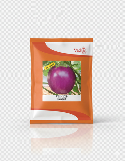 VBH-129 F1 Eggplant Hybrid | Home Gardening Seeds