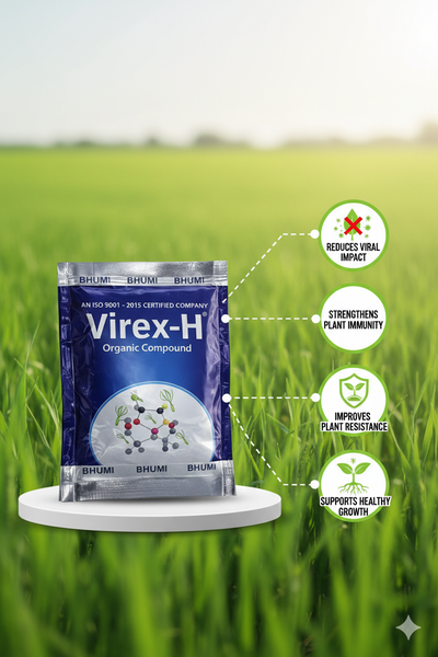 वाइरेक्स एच – फसल की पैदावार और फलों की गुणवत्ता बढ़ाता है 