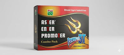 Andhra-special-kit