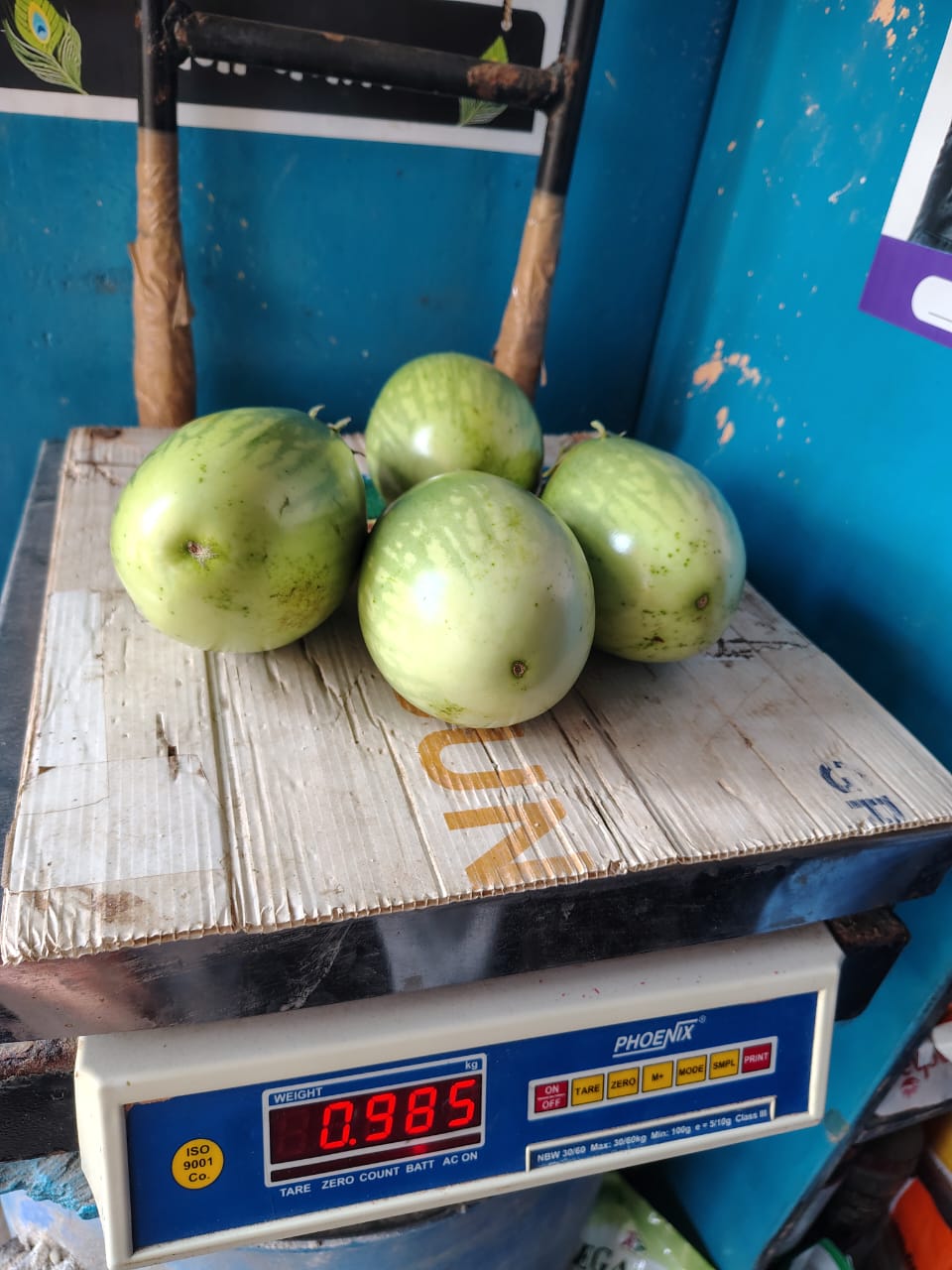 200-225 gm brinjal hybrid
