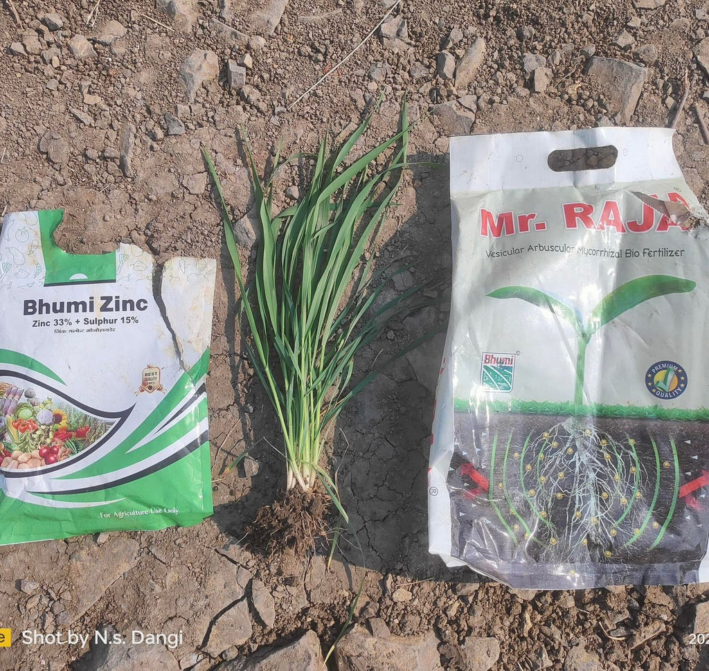biofertlizer ka asar
