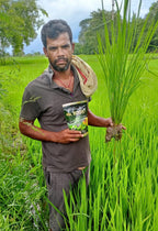 Mr. Boost - Best Plant Growth Promoter Fertilizer in India | Seaweed Extract for Flowering & Yield