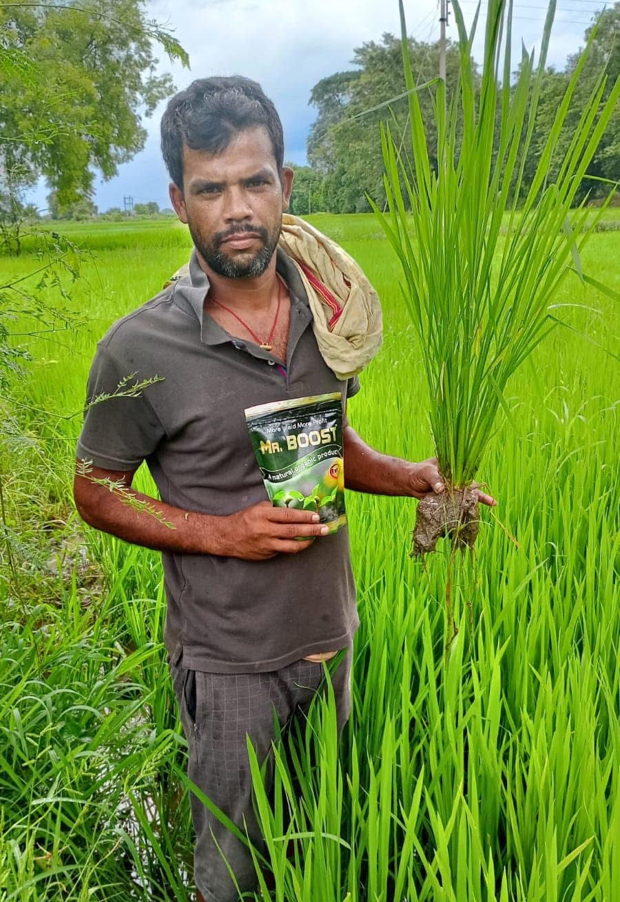 Mr. Boost - Best Plant Growth Promoter Fertilizer in India | Seaweed Extract for Flowering & Yield