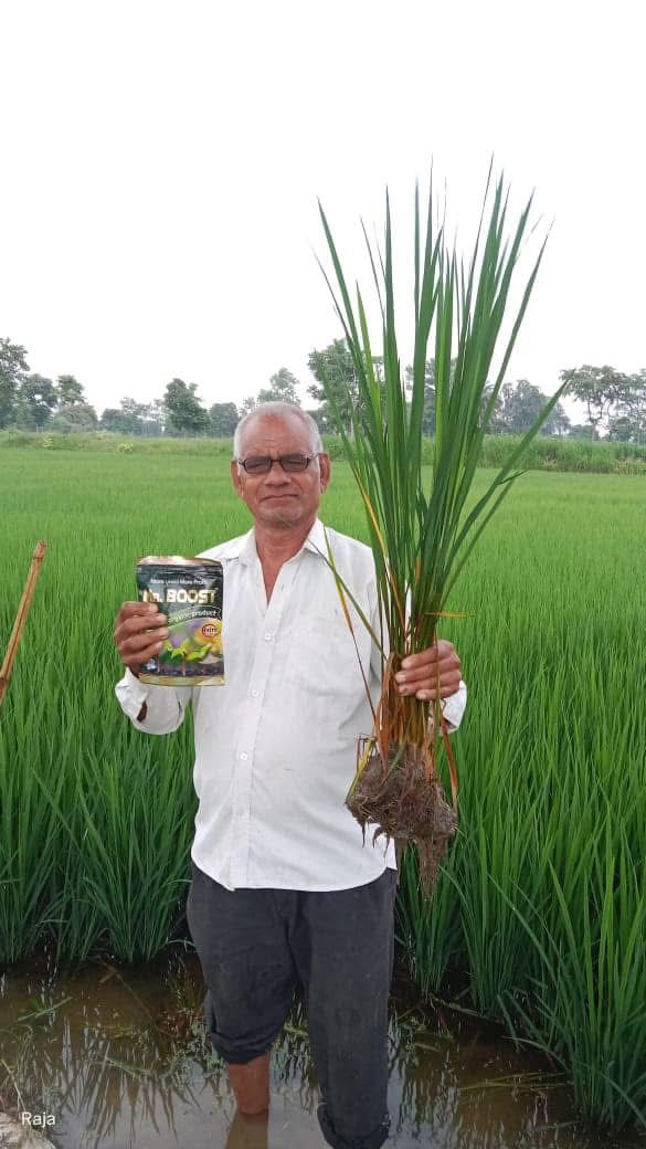 Mr. Boost - Best Plant Growth Promoter Fertilizer in India | Seaweed Extract for Flowering & Yield