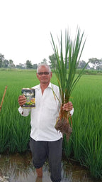 Mr. Boost - Best Plant Growth Promoter Fertilizer in India | Seaweed Extract for Flowering & Yield