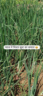 Mr. Boost - Best Plant Growth Promoter Fertilizer in India | Seaweed Extract for Flowering & Yield